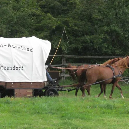 Heidehof Auenland Apartmán Wietzendorf